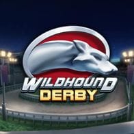 Wildhound Derby game icon